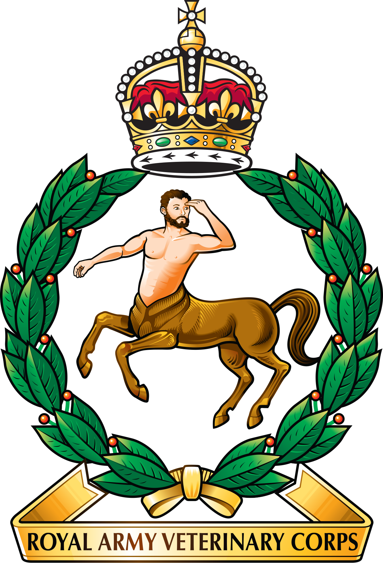 ravc